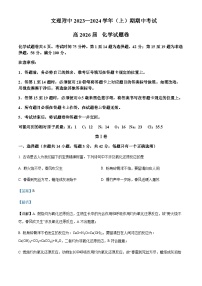 重庆文理学院附属中学校2023-2024学年高一上学期期中考试化学试题含答案