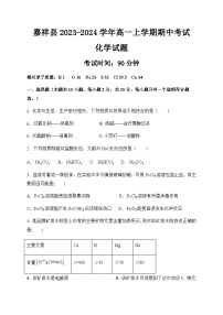 山东省济宁市嘉祥县第一中学2023-2024学年高一上学期期中考试化学试题含答案