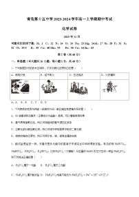 山东省青岛第十五中学2023-2024学年高一上学期期中考试化学试卷含答案