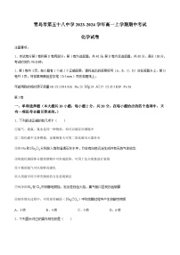 山东省青岛市第五十八中学2023-2024学年高一上学期期中考试化学试卷含答案