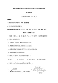 山东省泰安市英雄山中学2023-2024学年高一上学期期中考试化学试题含答案