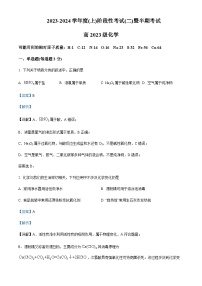 四川省成都市成华区某校2023-2024学年高一上学期期中考试化学试题含答案