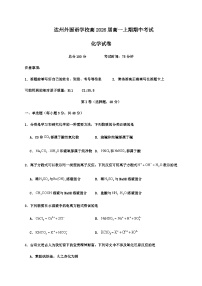 四川省达州外国语学校2023-2024学年高一上学期期中考试化学试题含答案