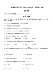 天津市滨海新区田家炳中学2023-2024学年高一上学期期中考试化学试题含答案