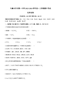 新疆乌鲁木齐市第一中学2023-2024学年高一上学期期中考试化学试卷含答案