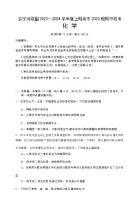 四川省凉山州安宁河联盟2023-2024学年高一上学期期中考试化学试题含答案