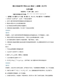 重庆市杨家坪中学2023-2024学年高二上学期第三次月考化学试题（Word版附解析）