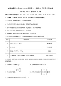 四川省成都市第七中学2023-2024学年高一上学期12月月考化学试题含解析