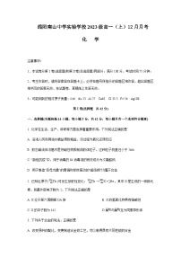 四川省绵阳南山中学实验学校2023-2024学年高一上学期12月月考化学试题含答案