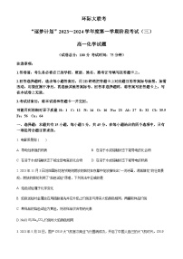 河南省驻马店市“逐梦计划”环际大联考2023-2024学年高一上学期12月阶段考试（三）化学试题含答案