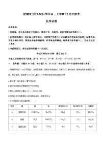 山东省肥城市第一高级中学等学校2023-2024学年高一上学期12月大联考化学试题含答案