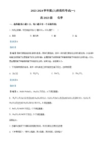 四川省成都列五中学2023-2024学年高一上学期10月月考化学试题含答案