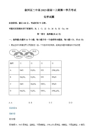 四川省宜宾市叙州区第二中学校2023-2024学年高一上学期10月月考化学试题含答案