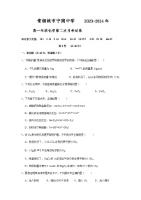 宁夏青铜峡市宁朔中学2023-2024学年高一上学期12月第二次月考化学试题含答案