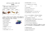 新疆维吾尔自治区石河子市第一中学2023-2024学年高一上学期11月月考化学试卷含答案