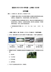 广东省茂名市信宜市第二中学2023-2024学年高一上学期1月月考化学试题含答案