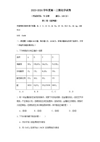 河南省周口市太康县第一高级中学2023-2024学年高一上学期第二次月考化学试卷含答案