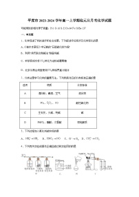 山东省青岛市平度第一中学2023-2024学年高一上学期迎元旦月考化学试题含答案