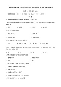 陕西省咸阳市高新一中2023-2024学年高一上学期第二次质量检测化学试题含答案