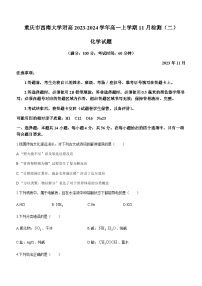 重庆市西南大学附属中学2023-2024学年高一上学期11月检测（二）化学试题含答案