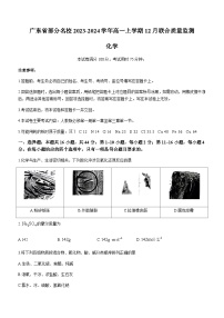 2023-2024学年广东省部分名校高一上学期12月联合质量监测化学试卷含答案