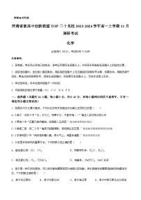 河南省新高中创新联盟TOP二十名校2023-2024学年高一上学期11月调研考试化学试题含答案