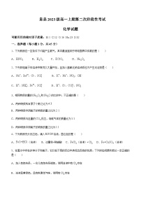 河南省信阳市息县第一高级中学2023-2024学年高一上学期1月第二次阶段性考试化学试卷含答案