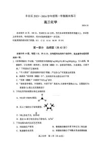 2023-2024学年北京市丰台区高三上学期期末考试化学试题及答案