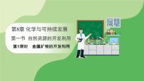 人教版 (2019)必修 第二册第一节 自然资源的开发利用授课ppt课件