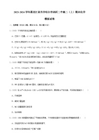 2023-2024学年黑龙江省齐齐哈尔市讷河二中高二（上）期末化学模拟试卷含答案