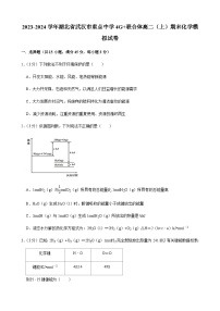 2023-2024学年湖北省武汉市重点中学4G+联合体高二（上）期末化学模拟试卷含答案