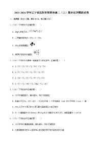 2023-2024学年辽宁省沈阳市郊联体高二上学期期末化学模拟试卷含答案