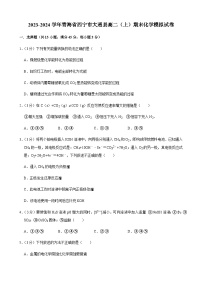 2023-2024学年青海省西宁市大通县高二（上）期末化学模拟试卷含答案