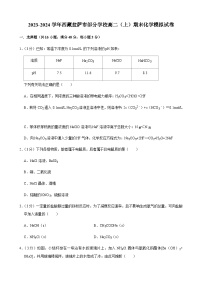 2023-2024学年西藏拉萨市部分学校高二（上）期末化学模拟试卷含答案