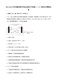 2023-2024学年安徽省滁州市定远县育才学校高二（上）期末化学模拟试卷含答案