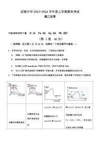 河北省衡水市武强中学2023-2024学年高二上学期期末考试化学试题含答案