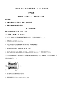 福建省漳州市东山县2023-2024学年高二上学期期中考试化学试题含答案