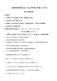 四川省成都市外国语学校2023-2024学年高二上学期12月月考化学试题含答案