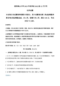 四川省绵阳南山中学2023-2024学年高二上学期12月月考化学试题含答案