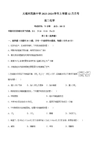 云南省大理市大理白族自治州民族中学2023-2024学年高二上学期12月月考化学试题含答案