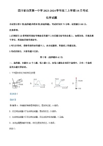 四川省自贡市第一中学校2023-2024学年高二上学期10月月考化学试题含答案