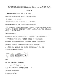 四川省成都市郫都区绵实外国语学校2023-2024学年高二上学期12月检测化学试题含答案