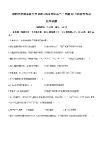 广东省深圳市罗湖高级中学2023-2024学年高二上学期12月阶段性考试化学试题含答案