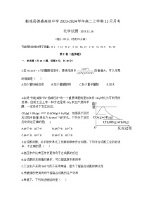 河南省商丘市柘城县德盛高级中学2023-2024学年高二上学期11月月考化学试卷含答案