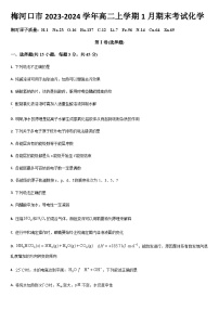 吉林省通化市梅河口市2023-2024学年高二上学期1月期末考试化学试题（含答案）