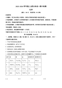 辽宁省沈阳市协作体2023-2024学年高一上学期期中检测化学试题