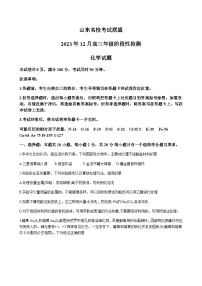 山东名校考试联盟2024届高三上学期12月阶段性检测化学试题Word版含答案