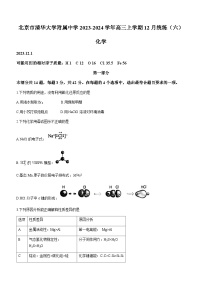 北京市清华大学附属中学2023-2024学年高三上学期12月统练（六）化学试题含答案