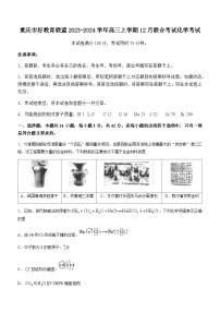 重庆市好教育联盟2023-2024学年高三上学期12月联合考试化学试题含答案