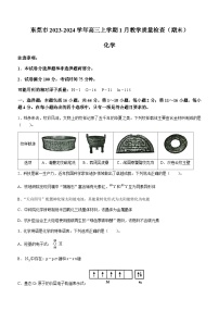 广东省东莞市2023-2024学年高三上学期1月教学质量检查（期末）化学试题含答案